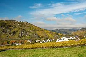Moselle Valley Prints: view to the village Burg in the river moselle valley near Enkirch in Germany in autumn