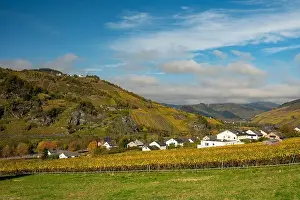 Moselle Valley Prints: view to the village Burg in the river moselle valley near Enkirch in Germany in autumn