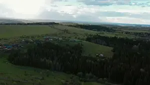 Top view of village in field with forest on horizon in summer