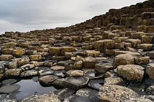 Puddle Prints: A view of the many volcanic basalt columns of the Giant's Causeway in Northern Ireland