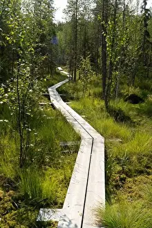 Fluvial Landforms Of Streams Prints: Vikaköngäs, Arctic Circle Hiking Area, lapland, Finland