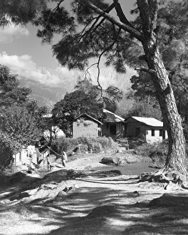Village Life Prints: Village Hoshiarpur Doaba Punjab India Asia Asian Indian 1940s old vintage 1900s picture