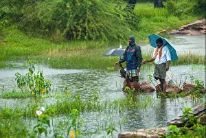 Villager Prints: Village people angling during a rainy day, Tamil Nadu, South India, India, Asia