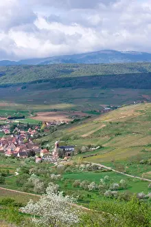 Vines Prints: Villages and hills with Strangenberg vineyars, Westhalten, Haut-Rhin, Alsace, France