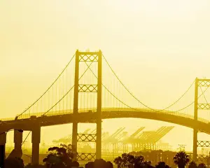 Back Lit Prints: The Vincent Thomas Bridge is a 1