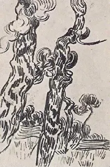 Drawing Art Prints: Vincent Van Gogh - Two Pinetrees 1889