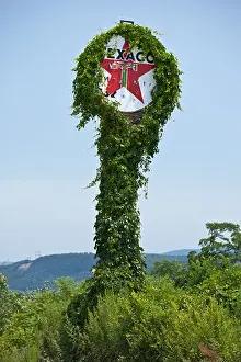 Petroleum Prints: Vine-covered Texaco sign near Berwick, Pennsylvania, Columbia County