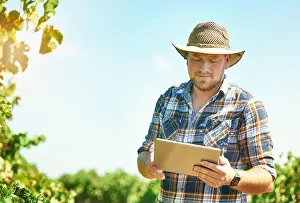 Eco Friendly Prints: Vineyard, farmer and man with tablet