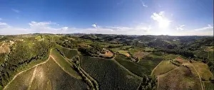 Clipped Prints: Vineyard plantations, panoramic aerial view north of Italy