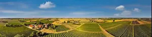 Vineyards in Italy, Aerial view of scenic vineyards in Italy