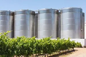 Wine Production Prints: Vineyards with Stainless Steel fermentation and storage tanks on Van Loveren Wine Estate