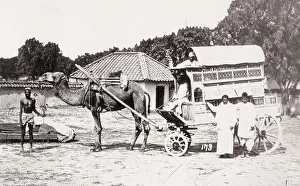 Vintage 19th century photograph: camel cart or carriage, India