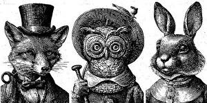 Whimsical Prints: Vintage animal portraits with fox, owl, and rabbit in black and white engraving