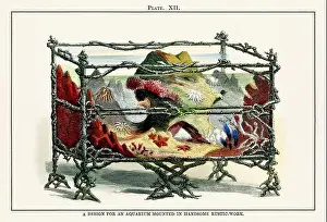 Vintage aquarium illustration from a 19th-century book on marine aquariums, their establishment, and preservation