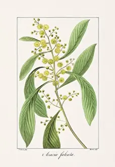 Flower Arrangement Prints: Vintage botanical Flower illustration from a 19th-century French book