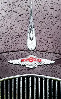 Hood Prints: vintage classic lagonda chrome car bonnet badge and logo with raindrops