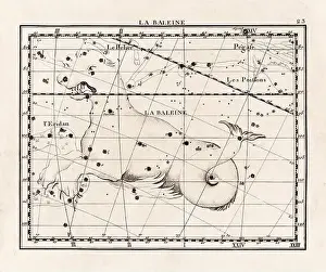 Celestial Navigation Prints: Vintage constellation illustration from the early 18th century