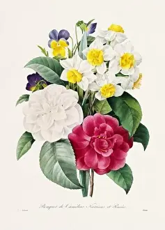Romantic Activity Prints: Vintage flower illustration. 19th Century French Floral Plate by Pierre Joseph Redouté