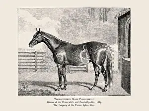 Victorian Style Prints: Vintage horse illustration from a 19th-century book on light horse breeds