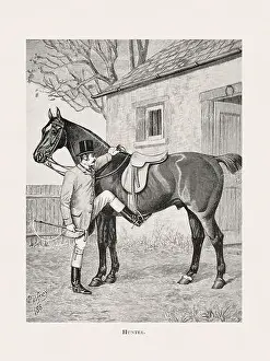 Victorian Style Prints: Vintage horse illustration from a 19th-century book on light horse breeds