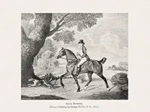 Victorian Style Prints: Vintage horse illustration from a 19th-century book on light horse breeds