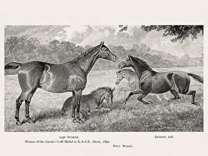 Victorian Style Prints: Vintage horse illustration from a 19th-century book on light horse breeds