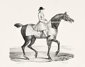 Museum Quality Prints: Vintage Horse Illustration. Plate from a 19th-century book on racehorses and saddle horses