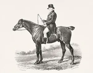 Museum Quality Prints: Vintage Horse Illustration. Plate from a 19th-century book on racehorses and saddle horses