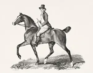 Museum Quality Prints: Vintage Horse Illustration. Plate from a 19th-century book on racehorses and saddle horses