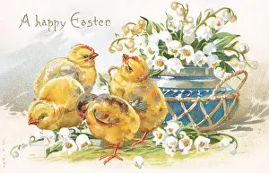 Ephemera Prints: Vintage illustrated chromo-litho Easter postcard showing four chicks and a vase of snowdrops