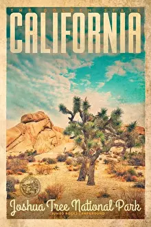 Vintage Travel Poster from Joshua Tree National Park in California United States of America