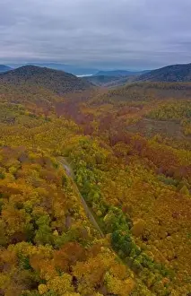 Curvy Road Prints: Visegrad, Hungary - Aerial view of asphalt road going through the forest