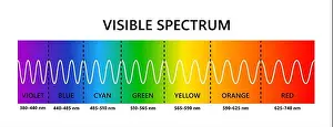 Optics Prints: Visible light spectrum. Optical light wavelength