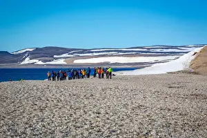 visiting a colony with walruses at Torellneset on Nordaustlandet on Svalbard, Norway