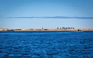 Torellneset Prints: visiting a colony with walruses at Torellneset on Nordaustlandet on Svalbard, Norway