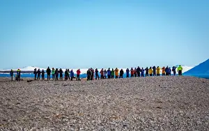 visiting a colony with walruses at Torellneset on Nordaustlandet on Svalbard, Norway