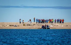 Torellneset Prints: visiting a colony with walruses at Torellneset on Nordaustlandet on Svalbard, Norway