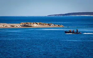 Spitzbergen Prints: visiting a colony with walruses at Torellneset on Nordaustlandet on Svalbard, Norway