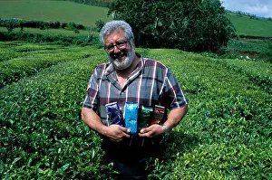 Mid Atlantic Prints: A visitor to the Gorreana tea plantation on São Miguel island in the Azores clutching four packets of different tea