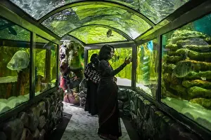 Bangladesh Prints: A visitor takes photos of fish in an aquarium at the Radiant Fish World in Cox's Bazar