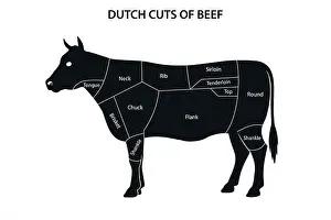 Chuck Prints: Visual diagram of Dutch beef cuts