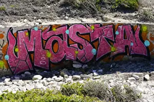 Corsica Prints: Vivid Pink Graffiti Wall Art on a Rough Concrete Barrier with Natural Surroundings