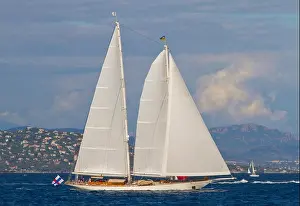 Yachting Prints: VOILES DE ST TROPEZ, FRANCE