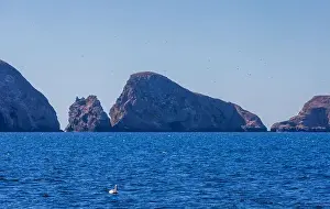 Southern California Prints: Volcanic rock formations in the Channel Islands National Park, California