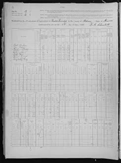 Rural Life Prints: Volume 38 of the 1880 agricultural census for Missouri records farming activities