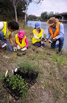 Creating Prints: Volunteers tree planting on Herring Island, Yarra River, Melbourne, Victoria, Australia