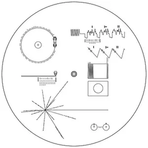 Voyager Prints: Voyager Golden Record line drawing