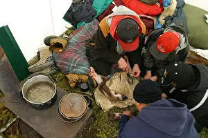 Teachers Prints: A Vuntut Gwitchin First Nation elder shows teenagers how to cut a caribou leg at a camp near Old Crow