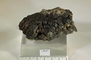 Earthy Prints: Wad. minerals. Europe; Germany; Prengersdorf, Oberlausitz