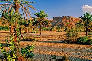 Wadi Prints: Wadi Hadhramaut Hadramaut landscape desert Yemen Arabia Orient World cultural heritage